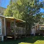 Aloha Club