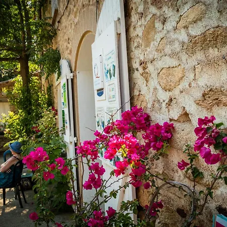 Aloha Club Reynès