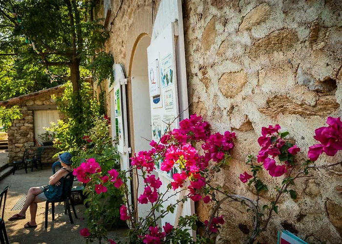 Aloha Club Reynès